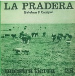 Nuestra_tierra_28.pdf.jpg