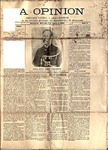 opinion01.pdf.jpg