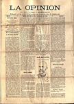 opinion08.pdf.jpg