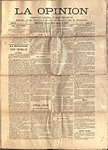 opinion03.pdf.jpg