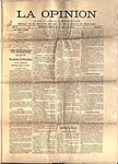 opinion04.pdf.jpg