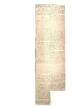 ART13ENE.pdf.jpg
