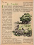 elombu_FSV_elgrilloN34.pdf.jpg