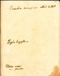 Carpeta_3_1808_04.pdf.jpg