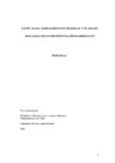 TESE_PABLO_HUGO_ROCCA_PESCE.pdf.jpg