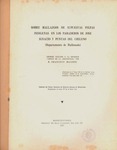 Mazzoni_Sobre_hallazgos.pdf.jpg