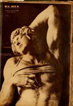 SELDIA27.pdf.jpg