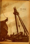 SELDIA21.pdf.jpg