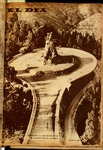 SELDIA51.pdf.jpg