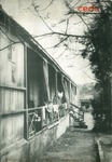 CEDA_1953_11.pdf.jpg