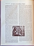 gallinaltesoroenanales_n15.pdf.jpg