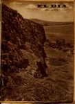 SELDIA215.pdf.jpg