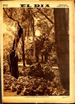 SELDIA477.pdf.jpg
