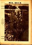 SELDIA590.pdf.jpg