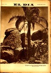 SELDIA597.pdf.jpg