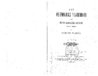 Las_Hermanas_Flammari_Mateo Magarinios_Solsona_Prologo_De_Samuel_Blixen.pdf.jpg