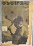 Nosotras N1.pdf.jpg