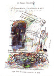 selva0007.JPG.jpg