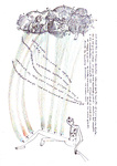 selva0008.JPG.jpg