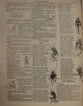 Toros_Negro1898n30.pdf.jpg