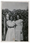 Mimacasa1948.pdf.jpg
