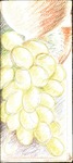 HGR_Universo_del_vino.pdf.jpg